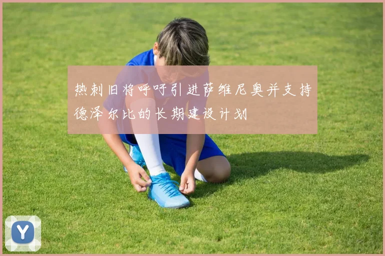 热刺旧将呼吁引进萨维尼奥并支持德泽尔比的长期建设计划